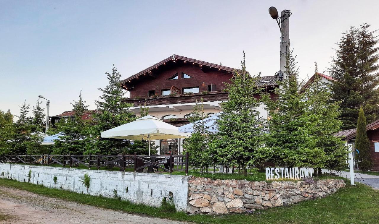 Pensiune & Restaurant Victoria Păltiniş Exteriör bild